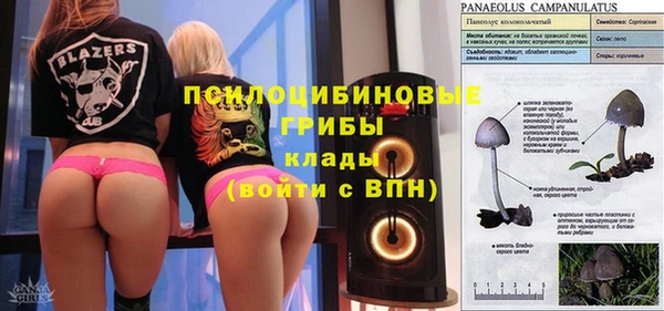 трава Апатиты