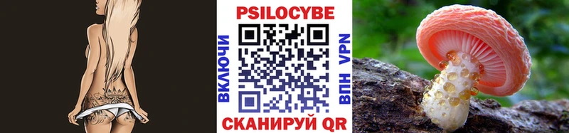 Псилоцибиновые грибы мицелий где можно купить Аткарск